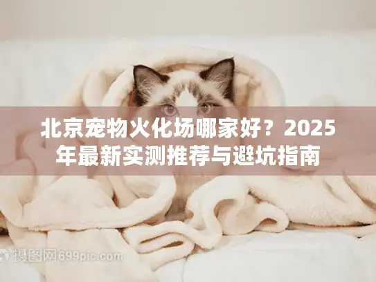 北京宠物火化场哪家好？2025年最新实测推荐与避坑指南