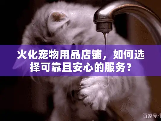 火化宠物用品店铺，如何选择可靠且安心的服务？
