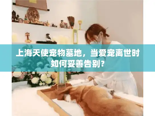 上海天使宠物墓地，当爱宠离世时如何妥善告别？