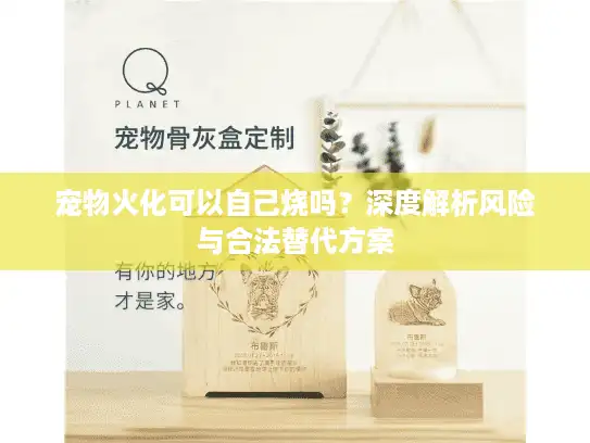 宠物火化可以自己烧吗？深度解析风险与合法替代方案