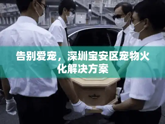 告别爱宠，深圳宝安区宠物火化解决方案