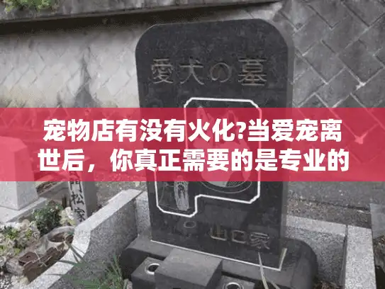 宠物店有没有火化?当爱宠离世后，你真正需要的是专业的宠物殡葬服务