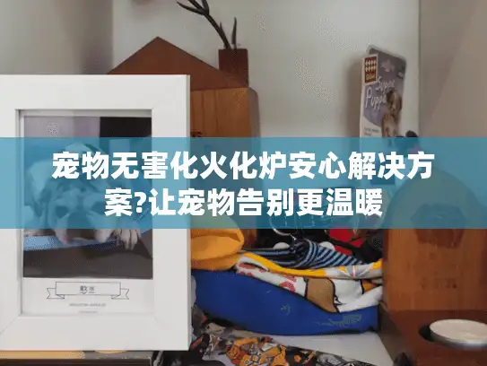 宠物无害化火化炉安心解决方案?让宠物告别更温暖