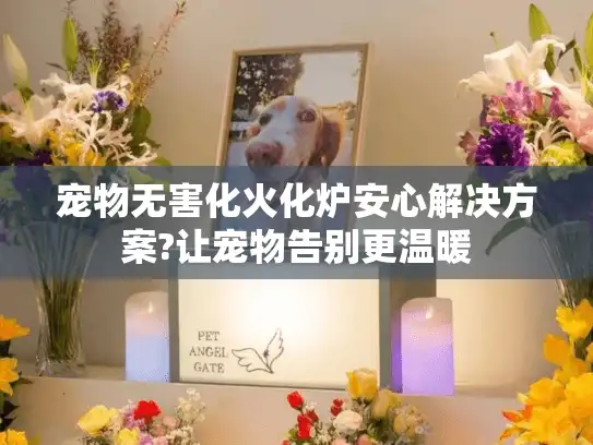 宠物无害化火化炉安心解决方案?让宠物告别更温暖