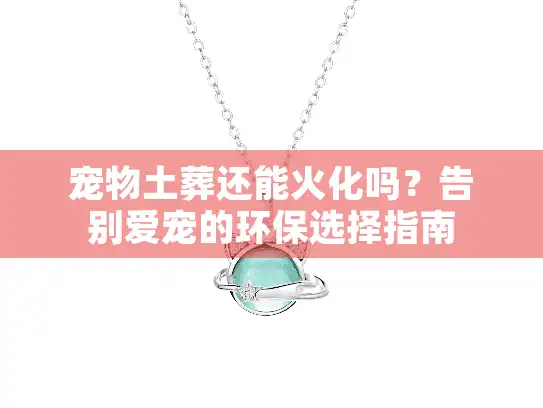 宠物土葬还能火化吗？告别爱宠的环保选择指南