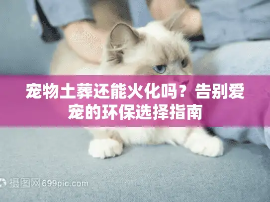 宠物土葬还能火化吗？告别爱宠的环保选择指南