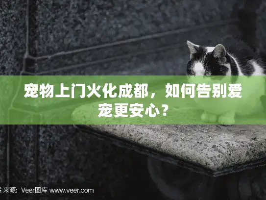 宠物上门火化成都，如何告别爱宠更安心？