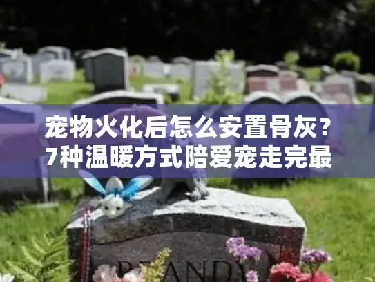 宠物火化后怎么安置骨灰？7种温暖方式陪爱宠走完最后一程