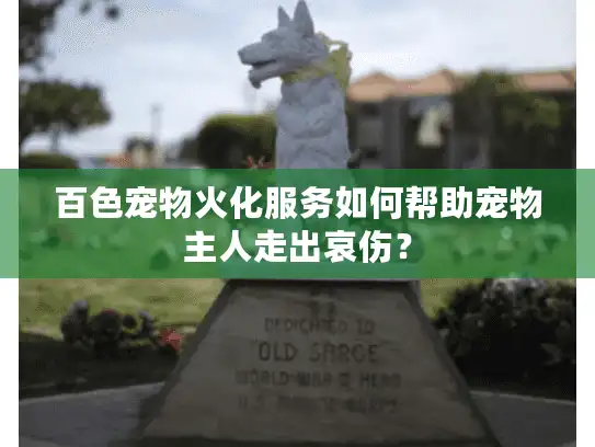 百色宠物火化服务如何帮助宠物主人走出哀伤？