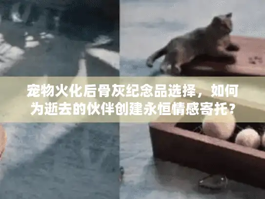 宠物火化后骨灰纪念品选择，如何为逝去的伙伴创建永恒情感寄托？