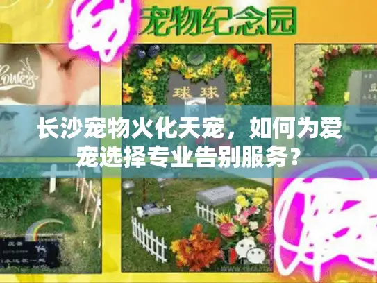 长沙宠物火化天宠，如何为爱宠选择专业告别服务？