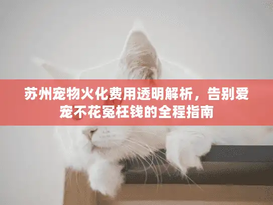 苏州宠物火化费用透明解析，告别爱宠不花冤枉钱的全程指南