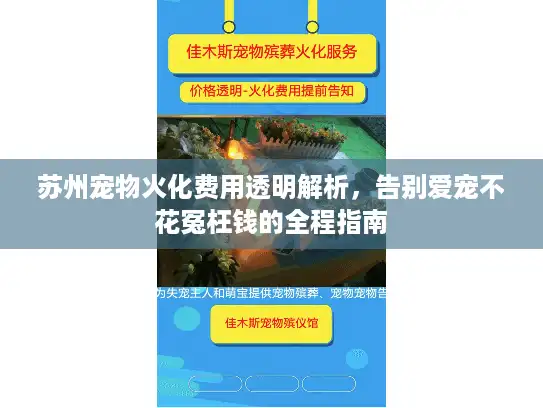 苏州宠物火化费用透明解析，告别爱宠不花冤枉钱的全程指南