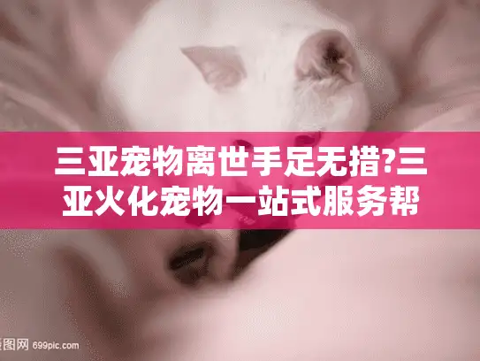 三亚宠物离世手足无措?三亚火化宠物一站式服务帮您安心善后