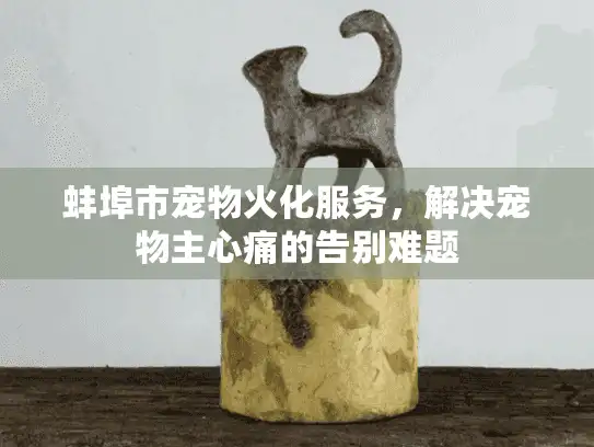 蚌埠市宠物火化服务，解决宠物主心痛的告别难题