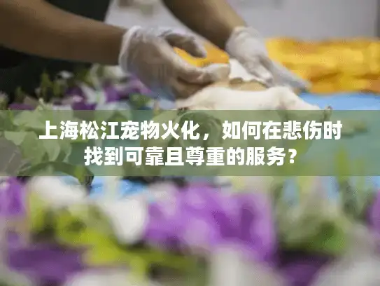 上海松江宠物火化，如何在悲伤时找到可靠且尊重的服务？