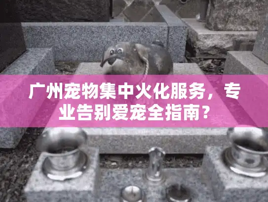广州宠物集中火化服务，专业告别爱宠全指南？