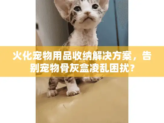火化宠物用品收纳解决方案，告别宠物骨灰盒凌乱困扰？