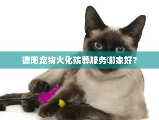 德阳宠物火化殡葬服务哪家好？