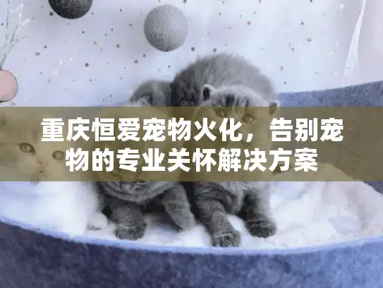重庆恒爱宠物火化，告别宠物的专业关怀解决方案