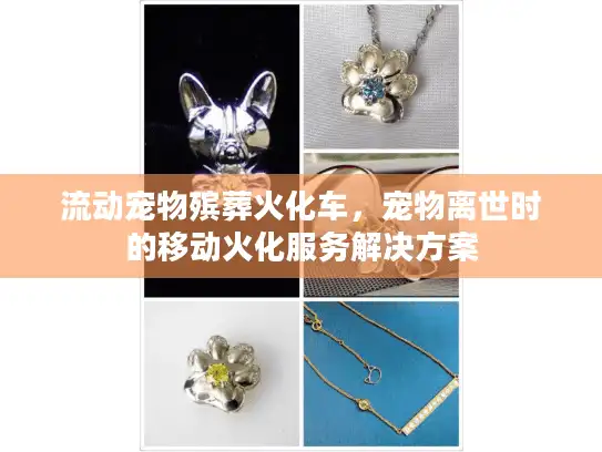 流动宠物殡葬火化车，宠物离世时的移动火化服务解决方案