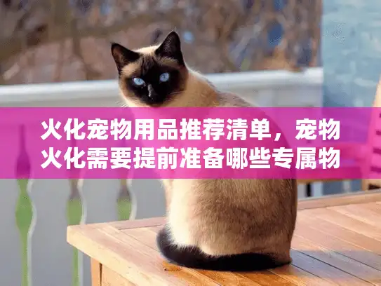 火化宠物用品推荐清单，宠物火化需要提前准备哪些专属物品？