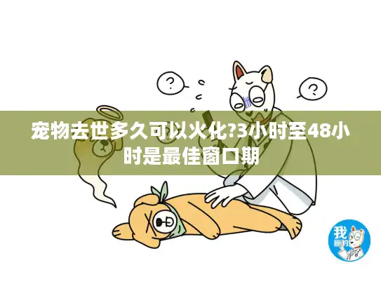 宠物去世多久可以火化?3小时至48小时是最佳窗口期