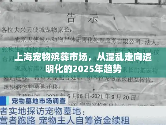 上海宠物殡葬市场，从混乱走向透明化的2025年趋势