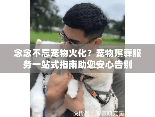 念念不忘宠物火化？宠物殡葬服务一站式指南助您安心告别