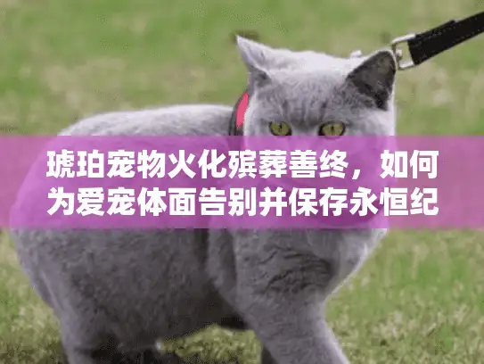 琥珀宠物火化殡葬善终，如何为爱宠体面告别并保存永恒纪念？