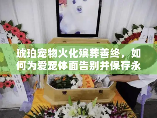 琥珀宠物火化殡葬善终，如何为爱宠体面告别并保存永恒纪念？