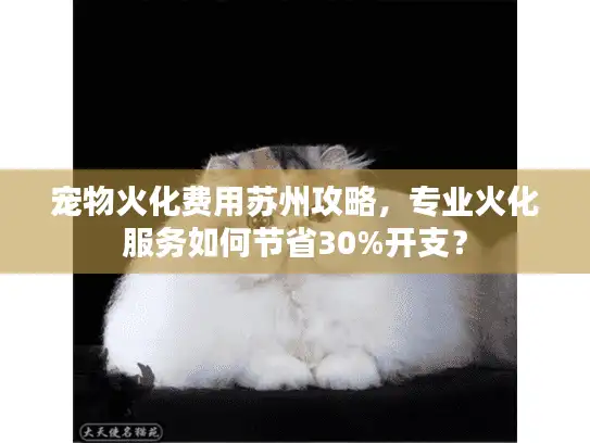 宠物火化费用苏州攻略，专业火化服务如何节省30%开支？