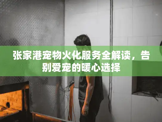 张家港宠物火化服务全解读，告别爱宠的暖心选择
