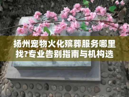 扬州宠物火化殡葬服务哪里找?专业告别指南与机构选择建议