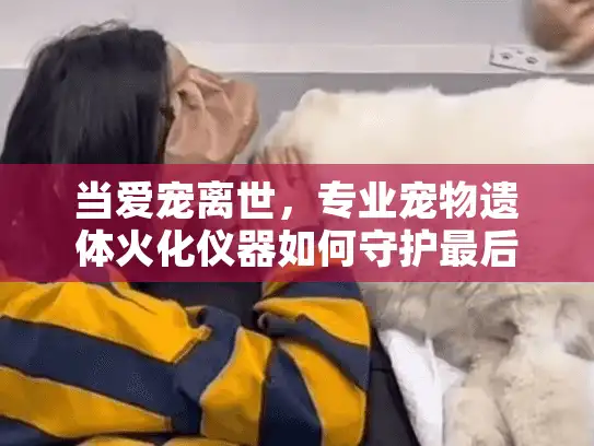 当爱宠离世，专业宠物遗体火化仪器如何守护最后的告别