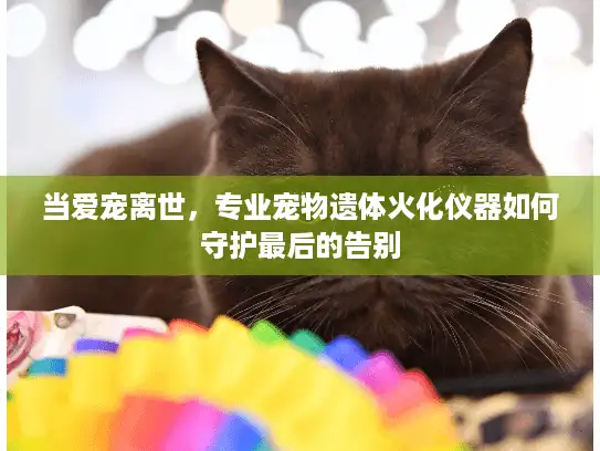 当爱宠离世，专业宠物遗体火化仪器如何守护最后的告别