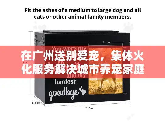 在广州送别爱宠，集体火化服务解决城市养宠家庭的痛点