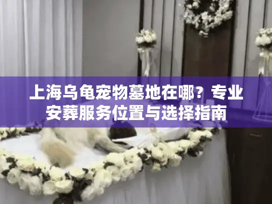 上海乌龟宠物墓地在哪？专业安葬服务位置与选择指南
