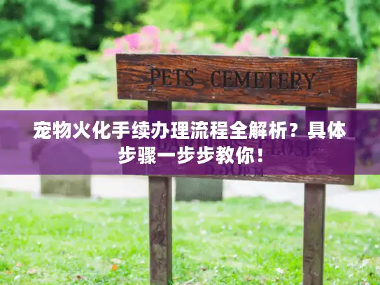 宠物火化手续办理流程全解析？具体步骤一步步教你！