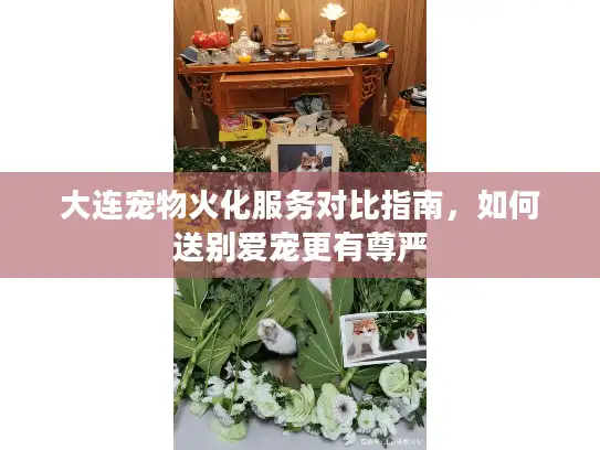 大连宠物火化服务对比指南，如何送别爱宠更有尊严