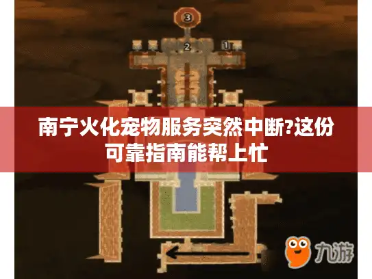 南宁火化宠物服务突然中断?这份可靠指南能帮上忙