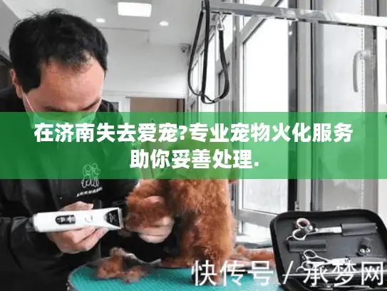 在济南失去爱宠?专业宠物火化服务助你妥善处理.