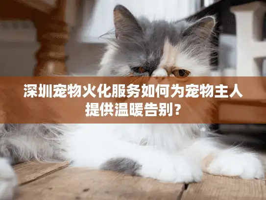 深圳宠物火化服务如何为宠物主人提供温暖告别？