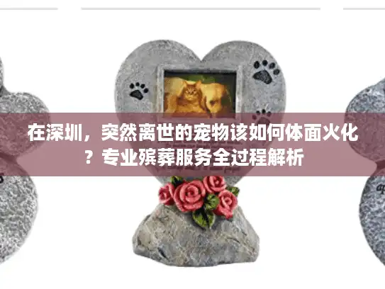 在深圳，突然离世的宠物该如何体面火化？专业殡葬服务全过程解析