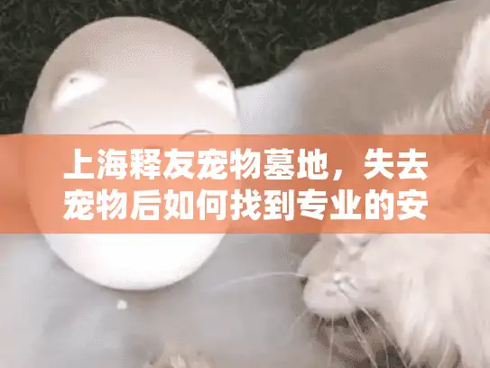 上海释友宠物墓地，失去宠物后如何找到专业的安身之处？