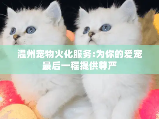 温州宠物火化服务:为你的爱宠最后一程提供尊严