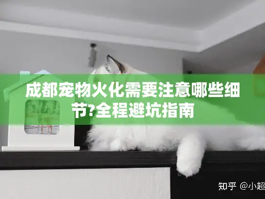 成都宠物火化需要注意哪些细节?全程避坑指南