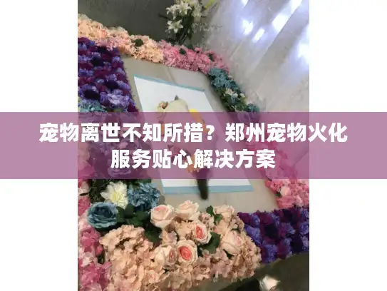 宠物离世不知所措？郑州宠物火化服务贴心解决方案