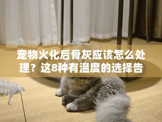 宠物火化后骨灰应该怎么处理？这8种有温度的选择告别冰冷
