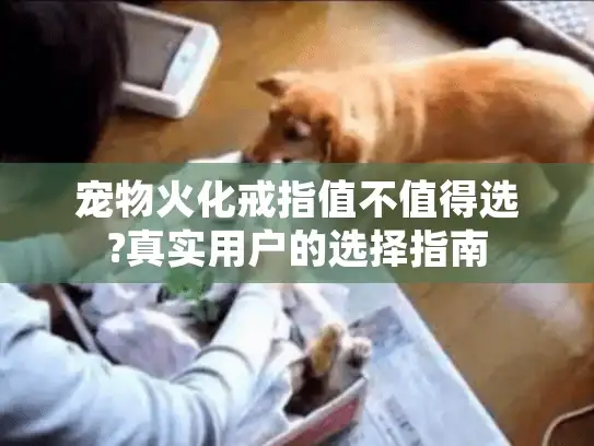 宠物火化戒指值不值得选?真实用户的选择指南